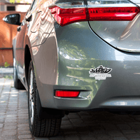 Saltwater & Diesel sticker pack
